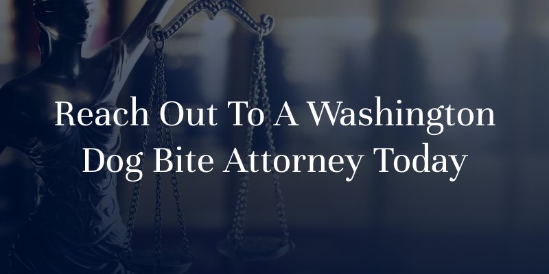 Reach Out To A Washington State Dog Bite Attorney Today