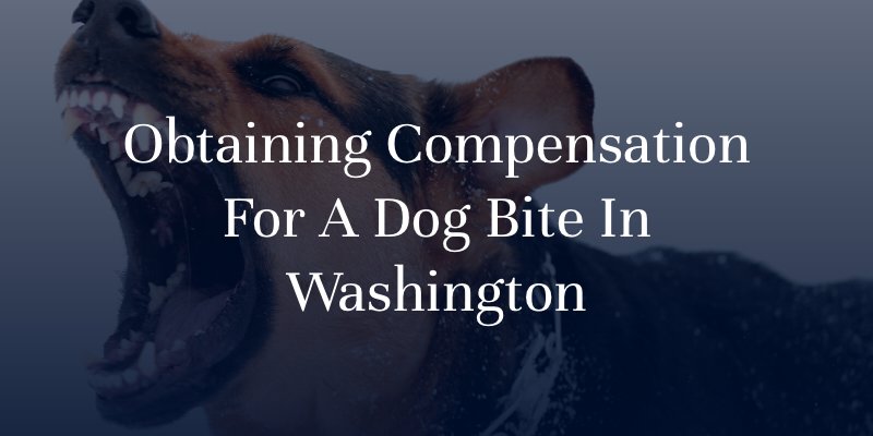 Obtaining Compensation For A Dog Bite In Washington