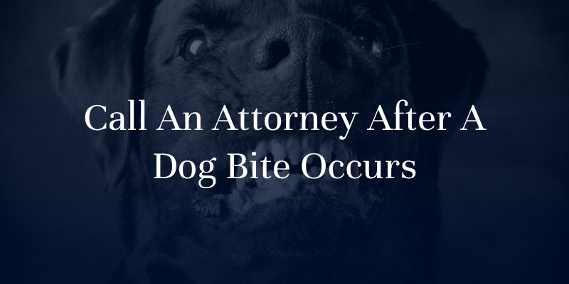 Contact An Attorney After A Dog Bite Occurs