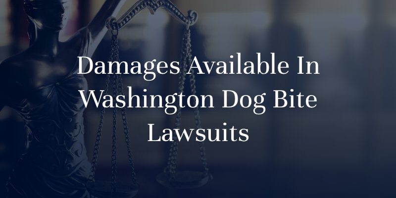 Damages Available In Dog Bite Lawsuits
