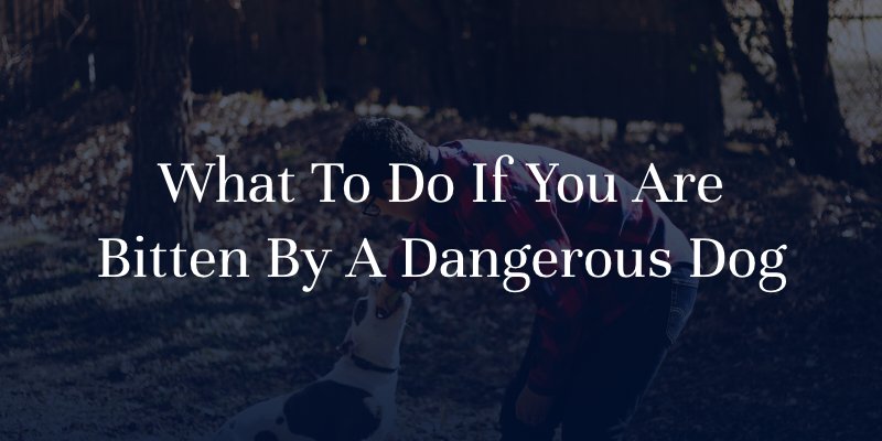 What To Do If You Are Bitten By A Dangerous Dog